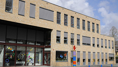 Elimschool, toekomstige bron van schone energie?