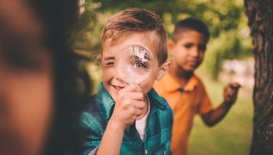 Zeven tips voor een groen schoolplein