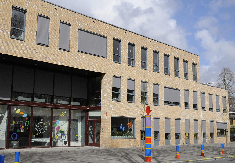 Elimschool, toekomstige bron van schone energie?